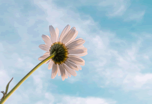 一对一指导的真实案例